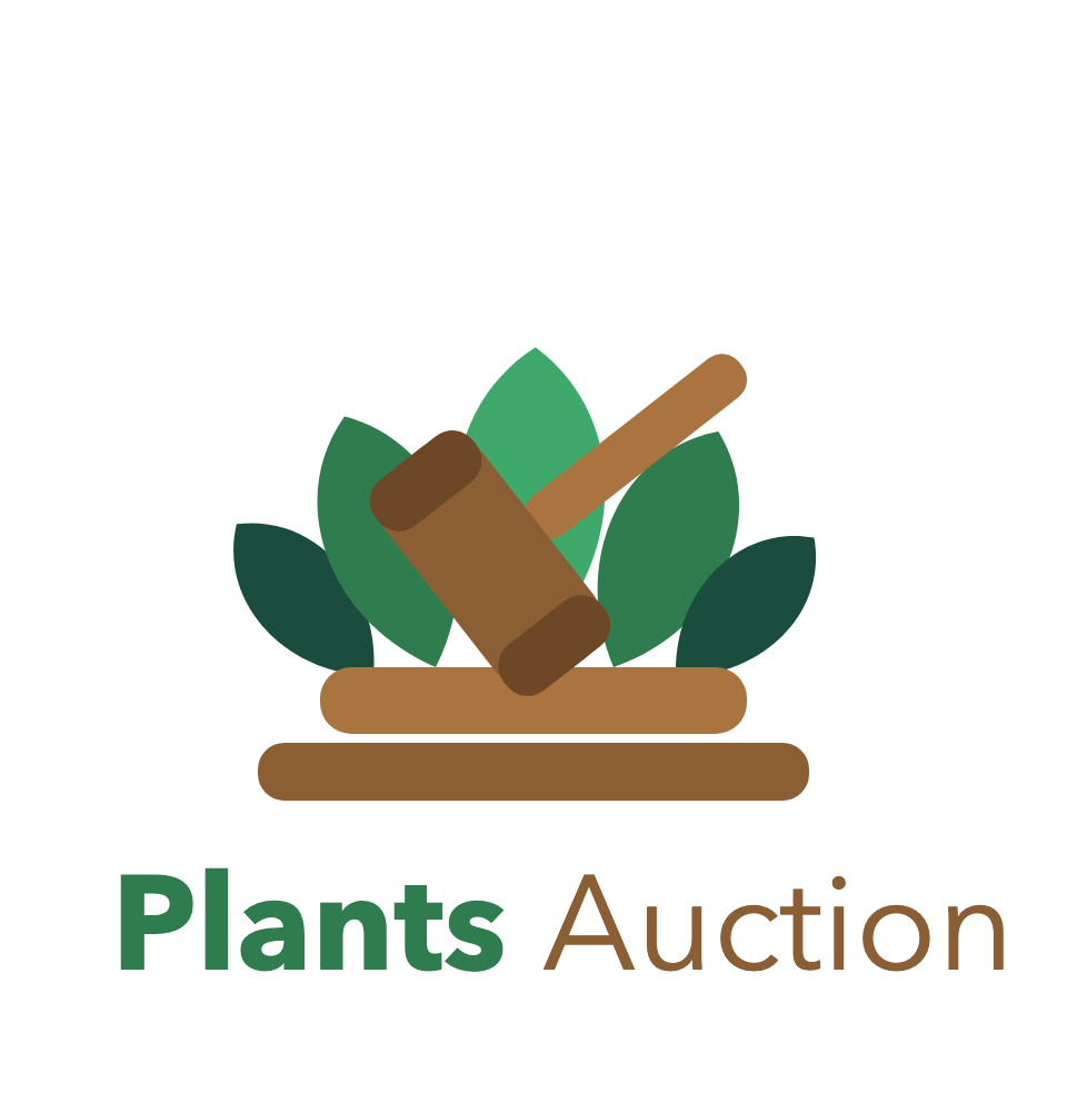 Plants Auction